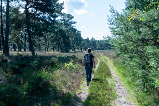 Maak kans op startbewijzen voor de Nijmeegse 4Daagse