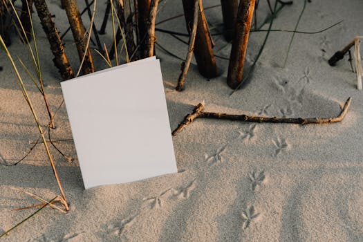 Familieberichten delen in Noordwijk: gratis en snel online geplaatst